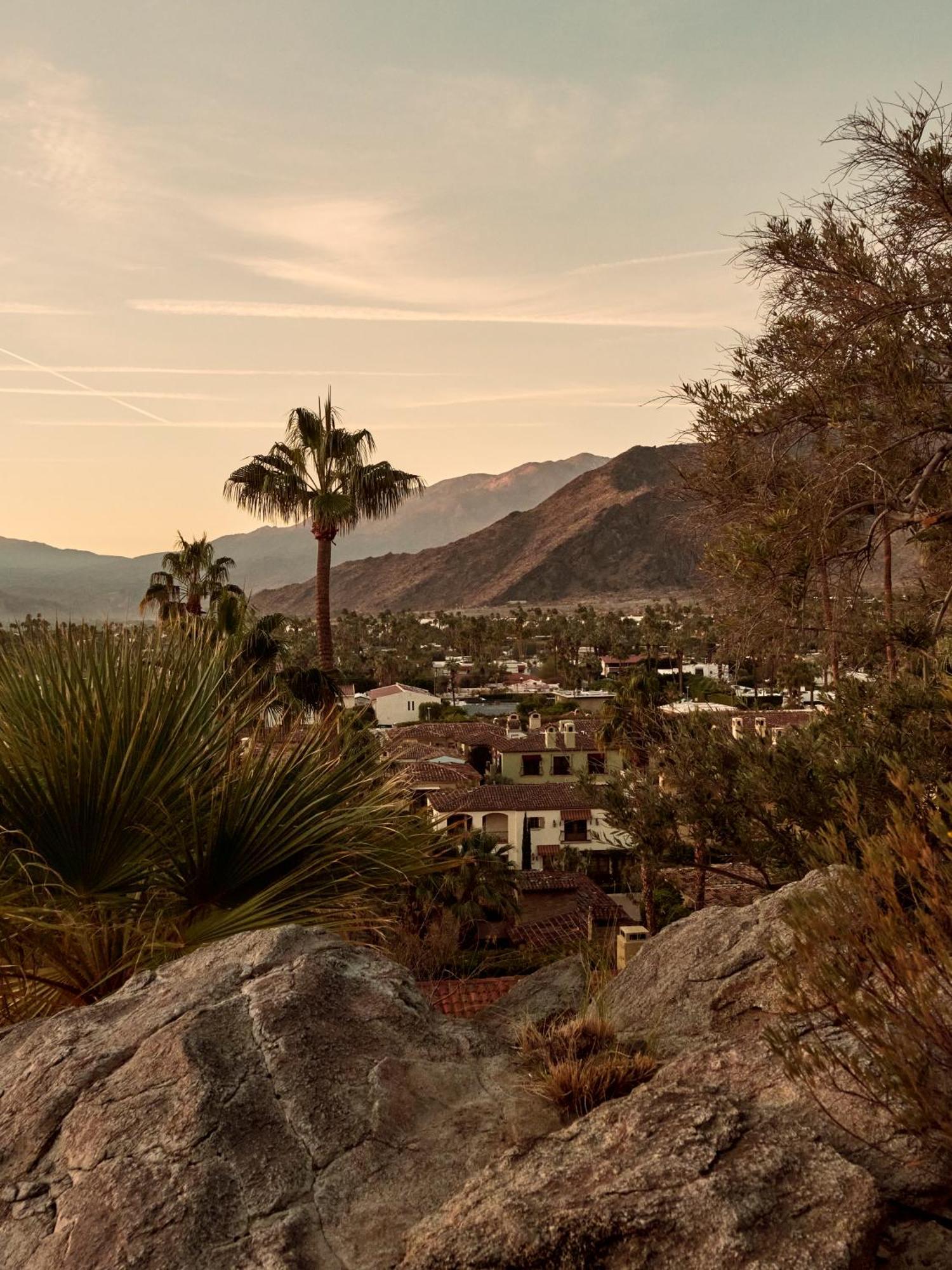 The Willows Palm Springs Eksteriør bilde